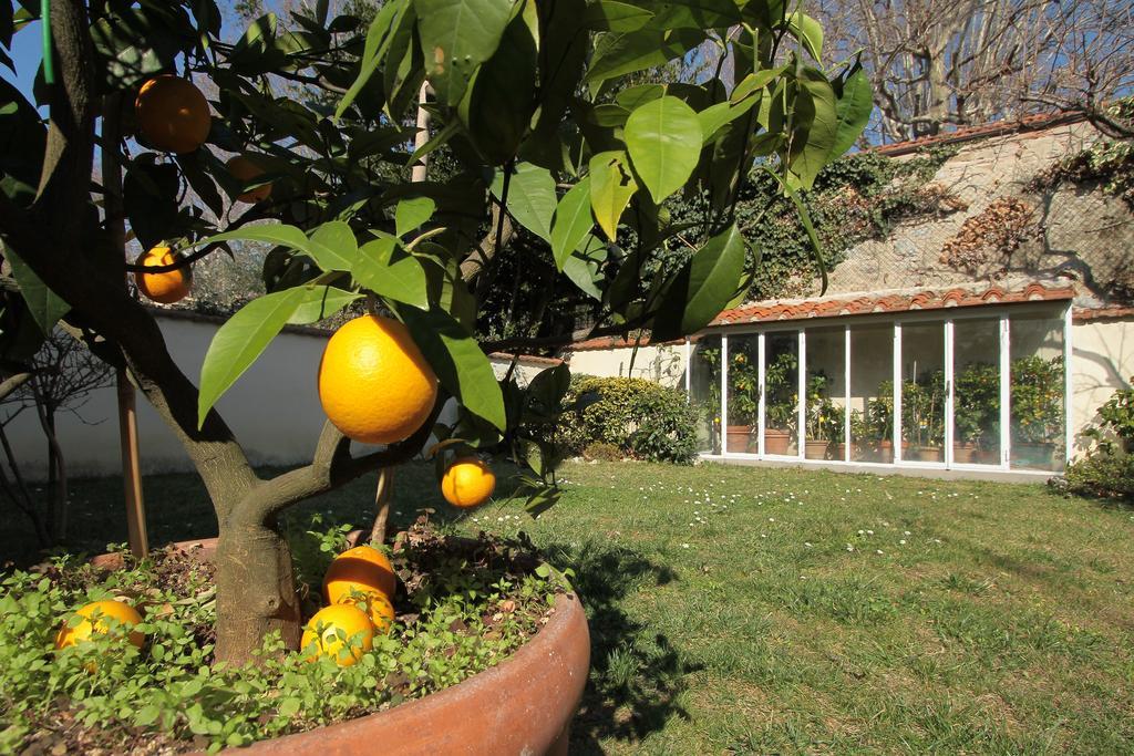 Il Diospero B&B Florença Exterior foto
